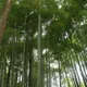 igreenEnergy